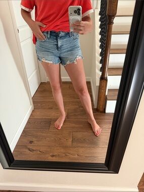 aerie Distressed Denim Jean Shorts